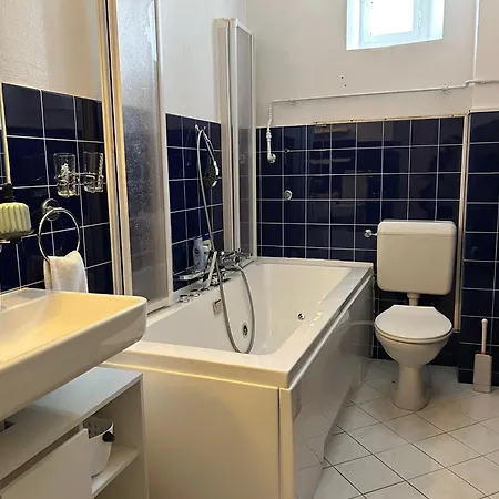 Le Style Haussmannien Apartment Tramelan