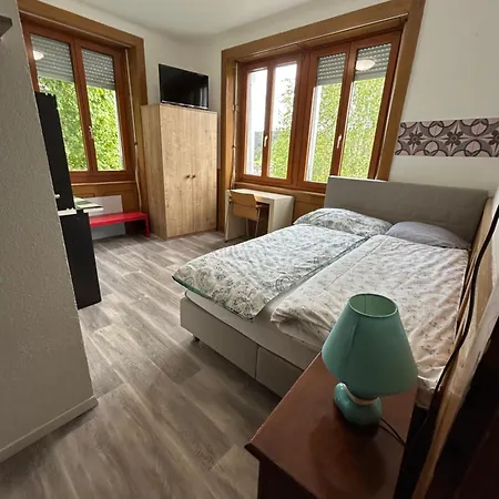 Le Style Haussmannien Apartment